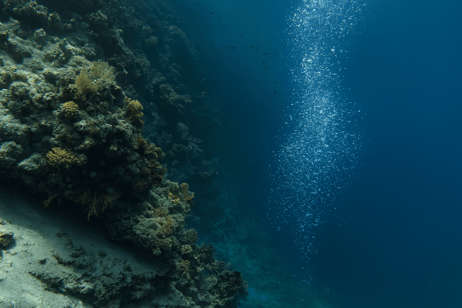 Site background