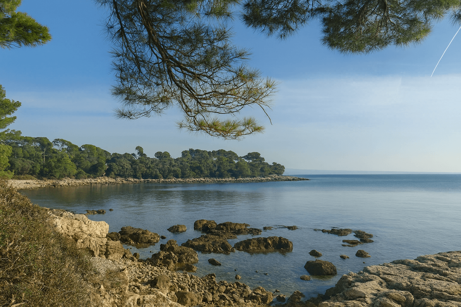 Site background
