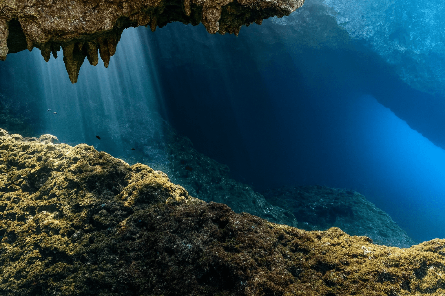 Site background