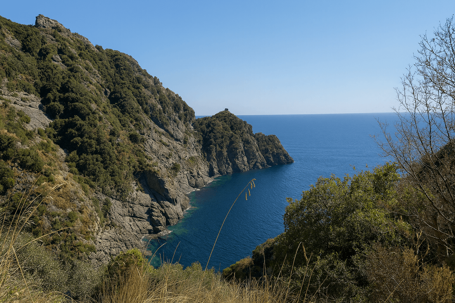 Site background