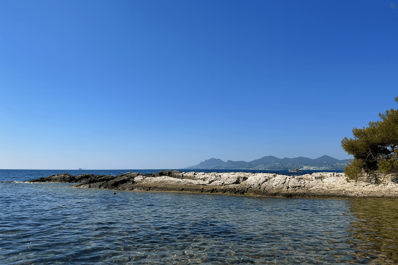 Site background