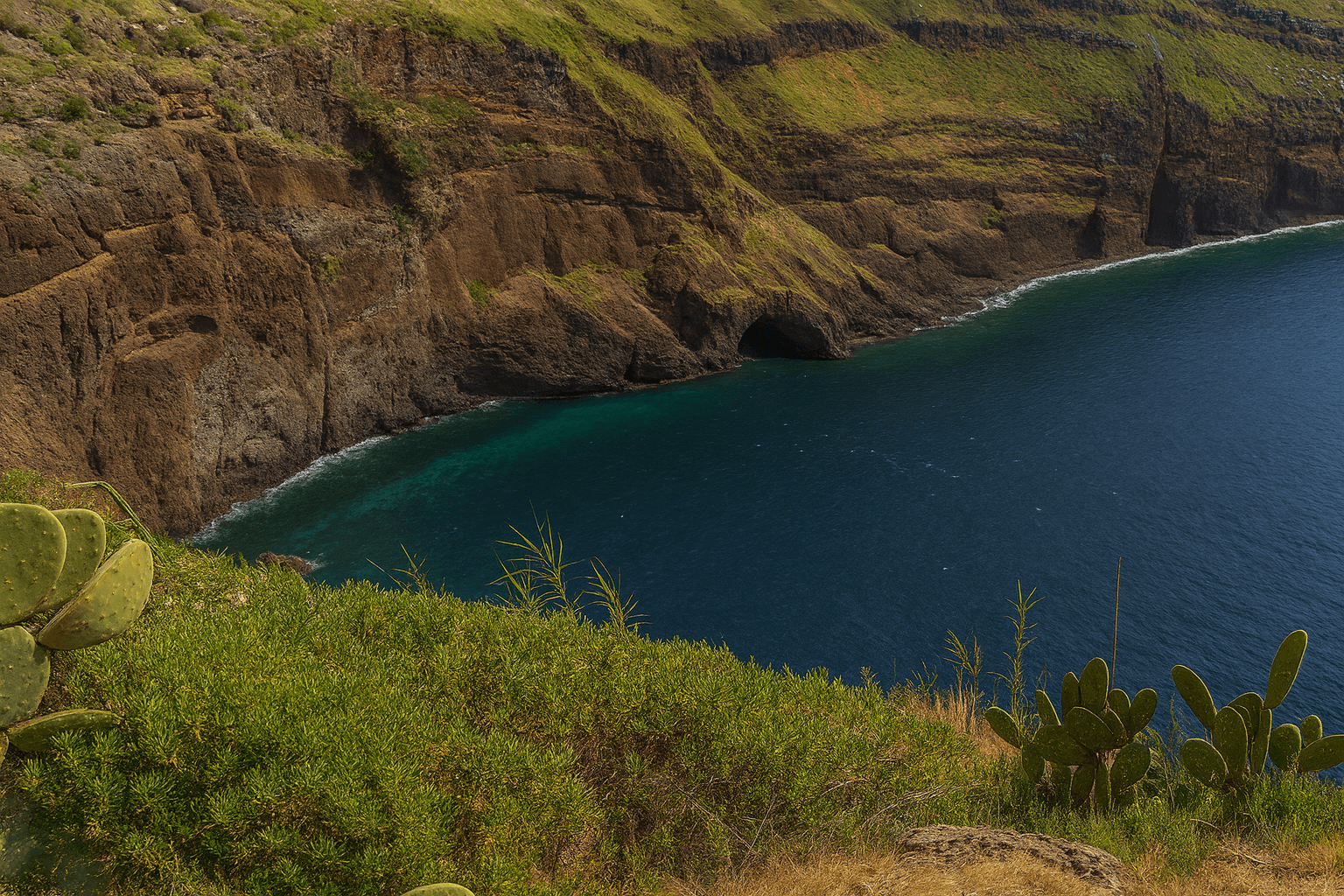 Site background