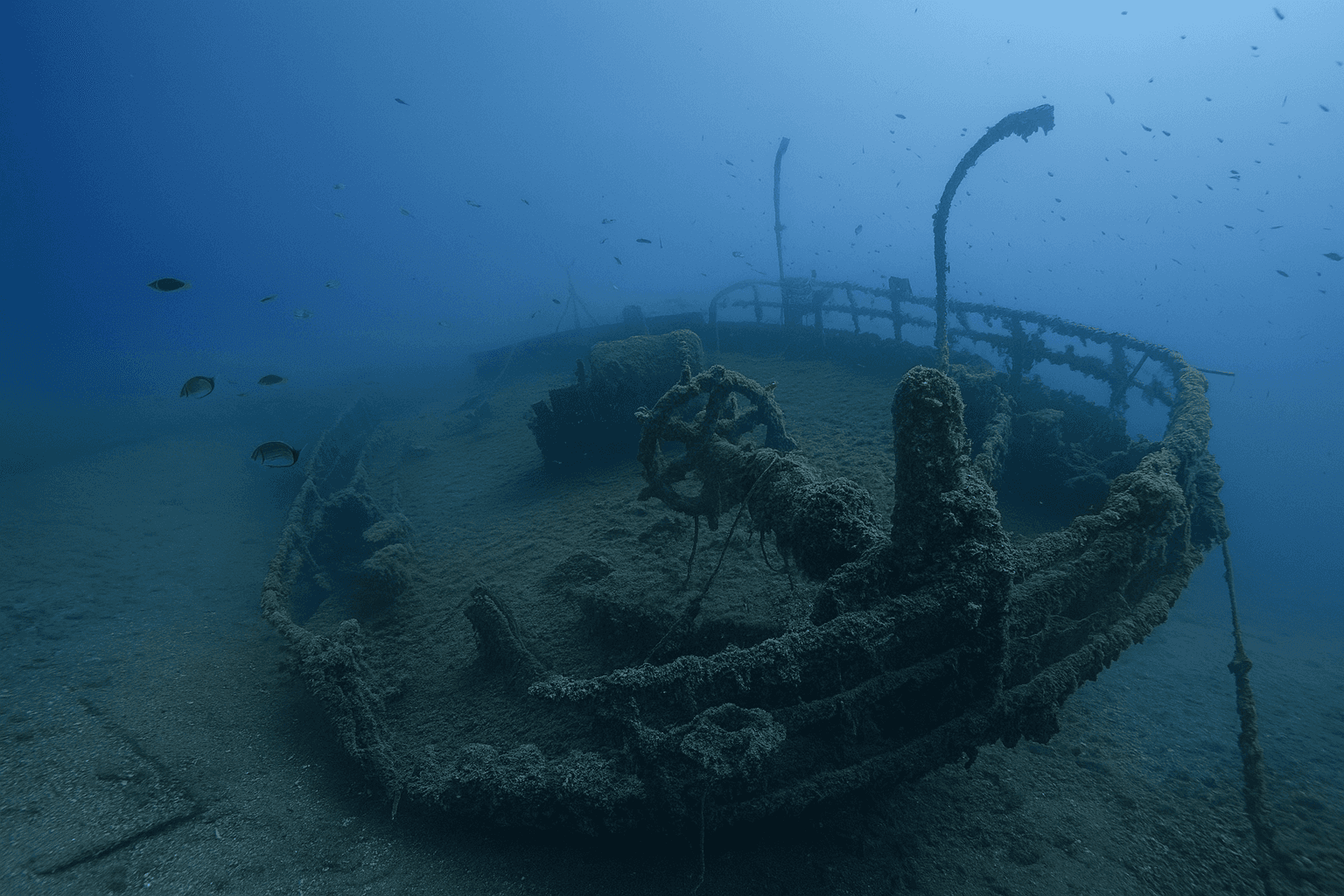 Site background