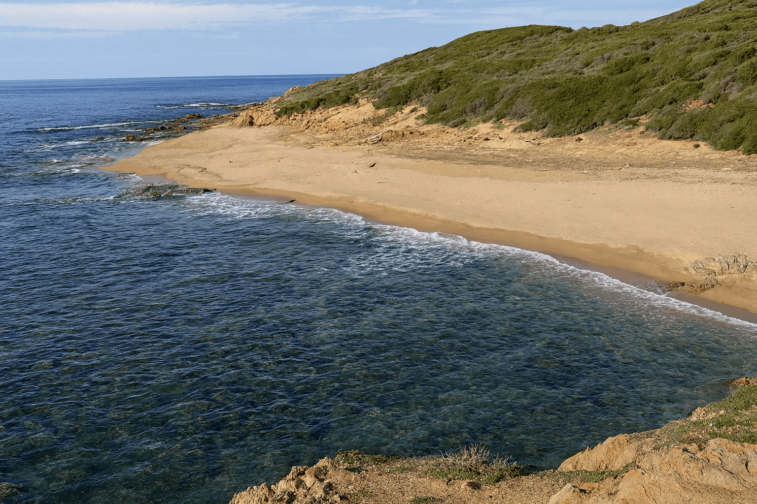 Site background