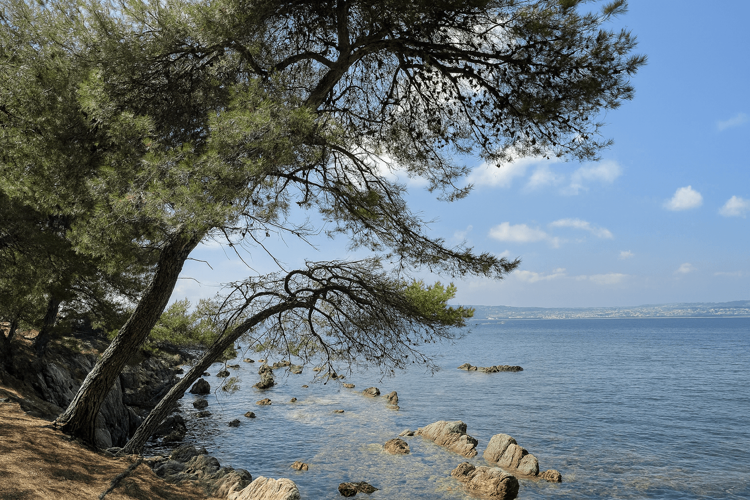Site background