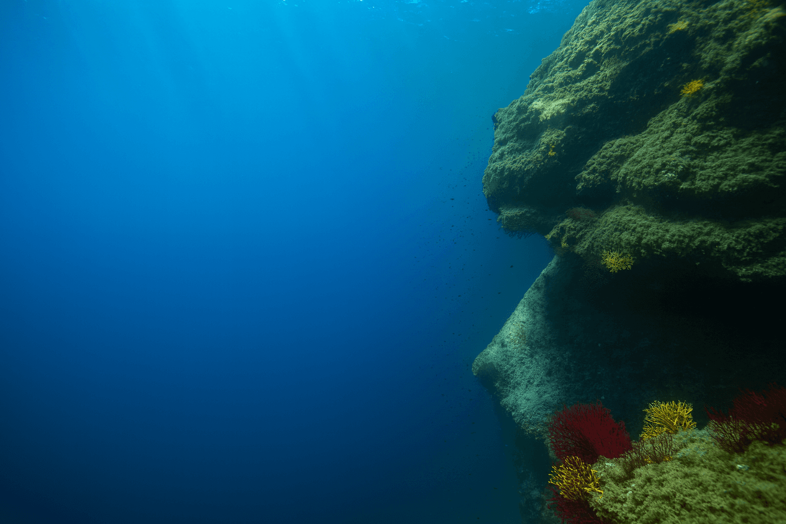 Site background