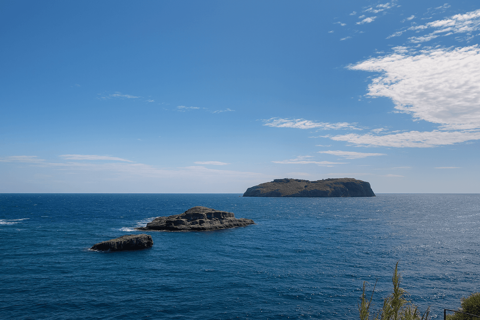 Site background