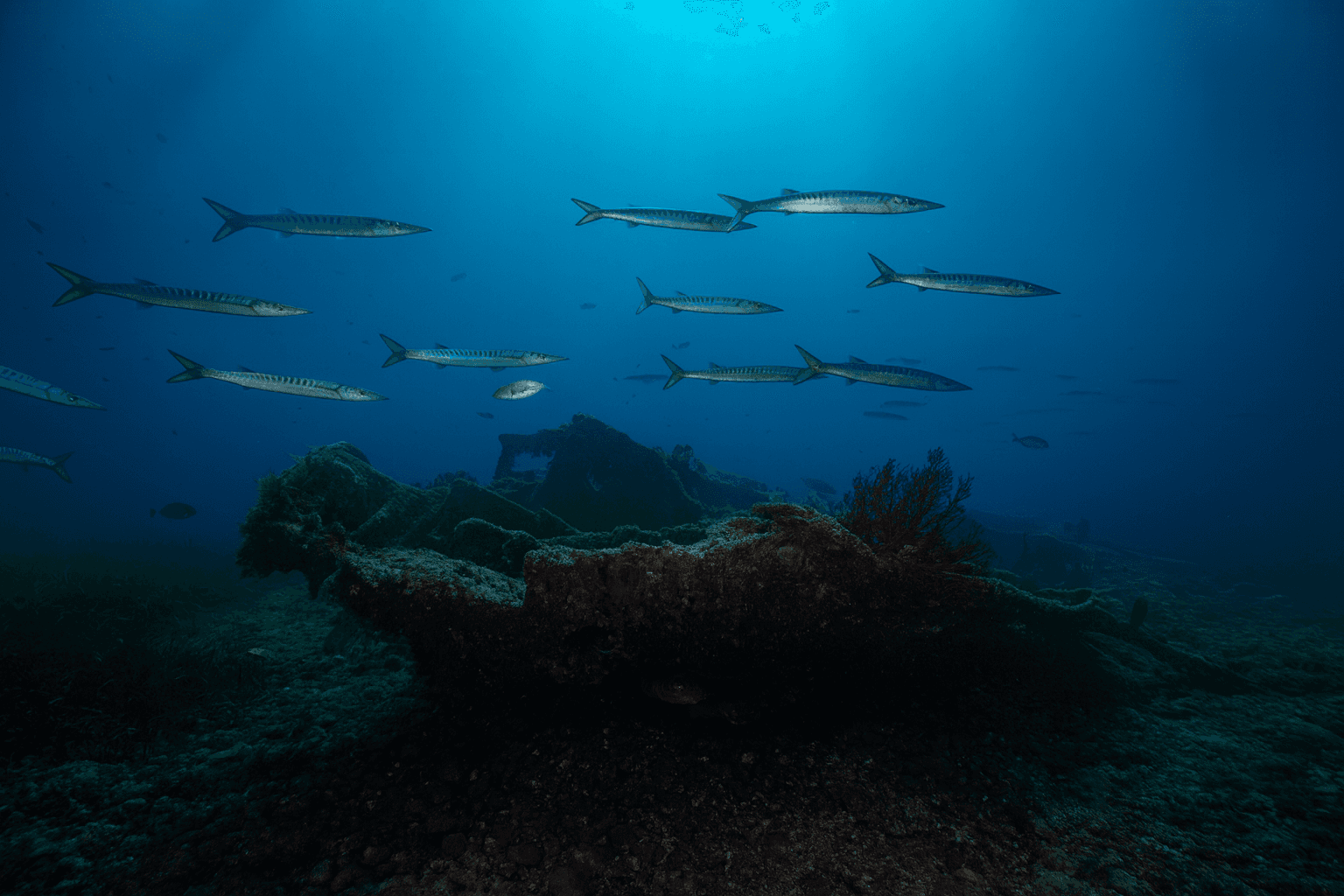 Site background