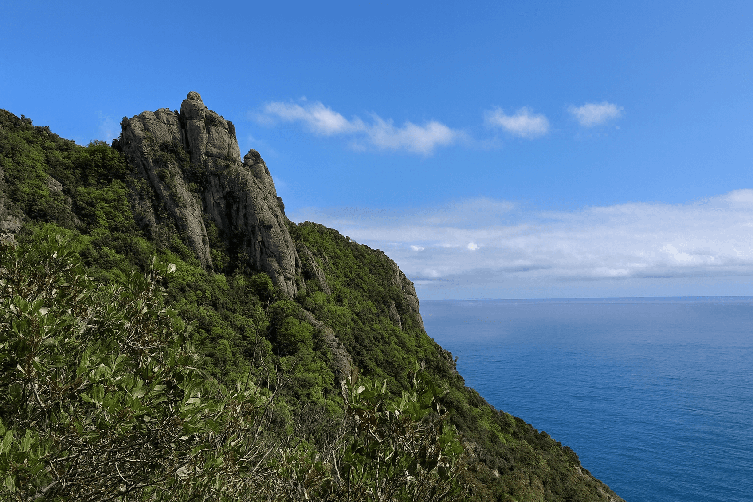 Site background