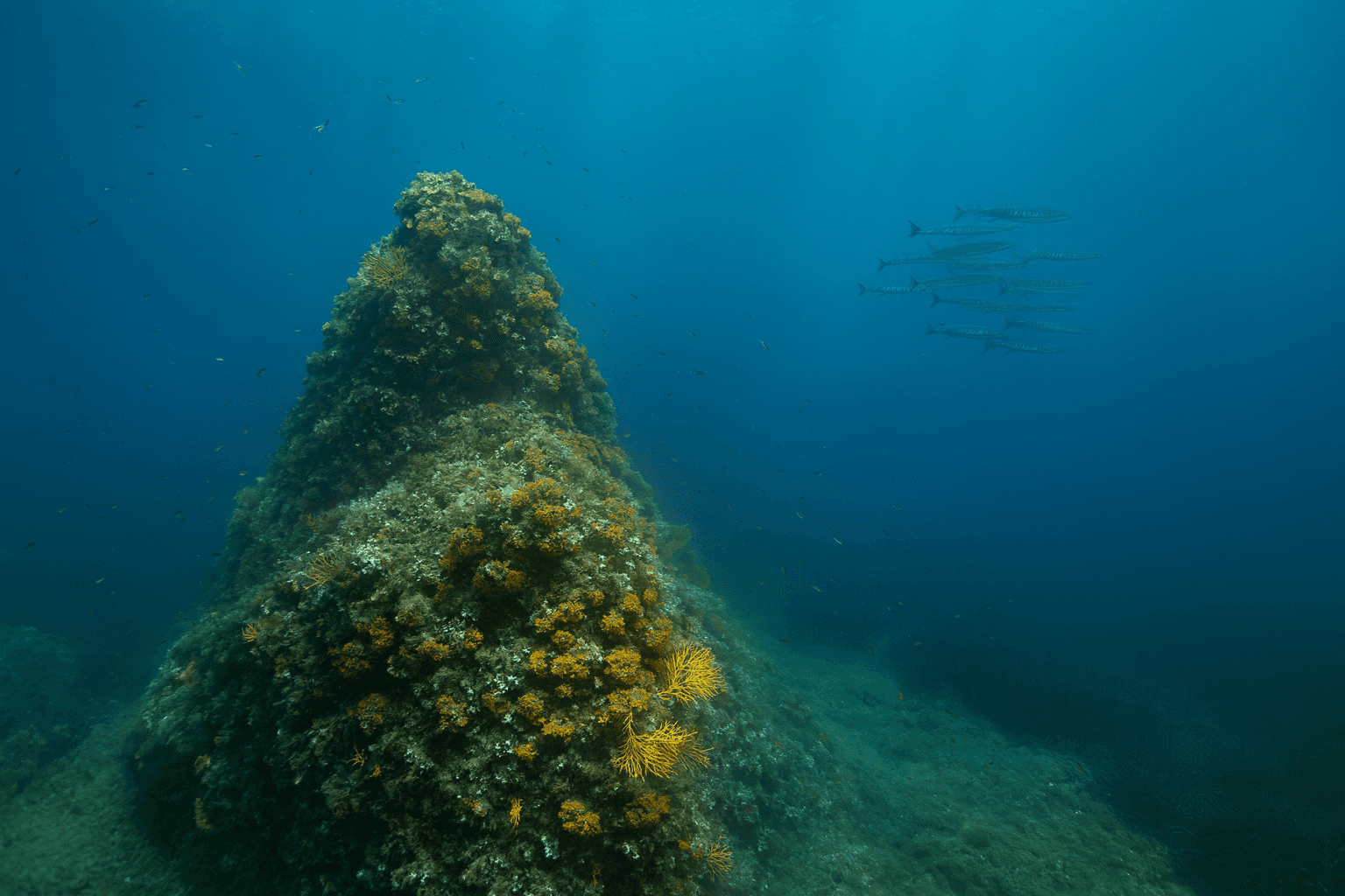 Site background