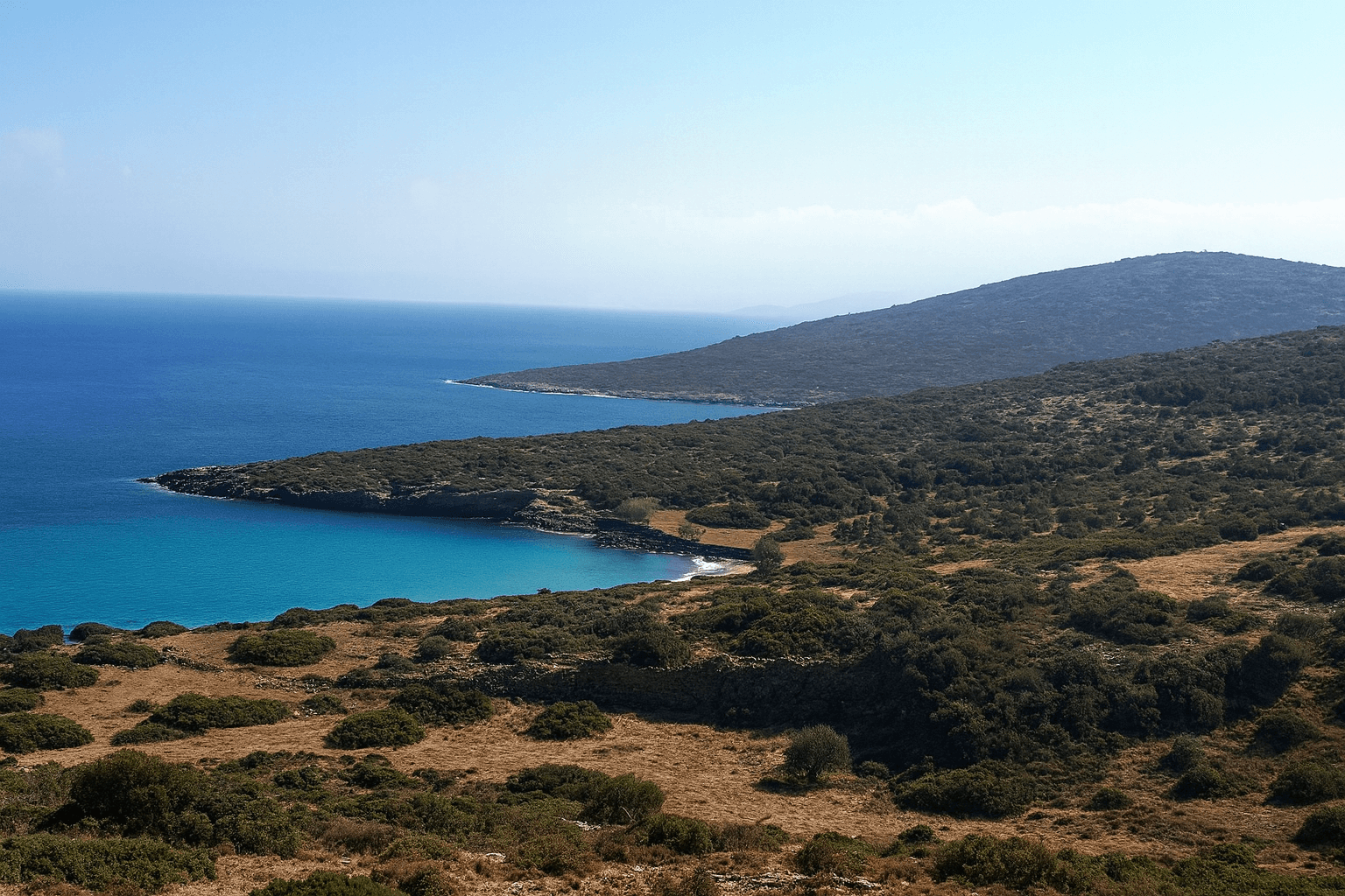 Site background