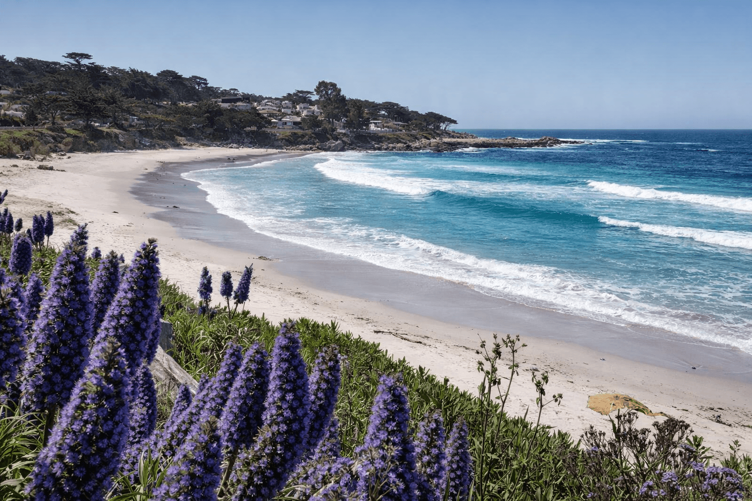 Carmel by the Sea image