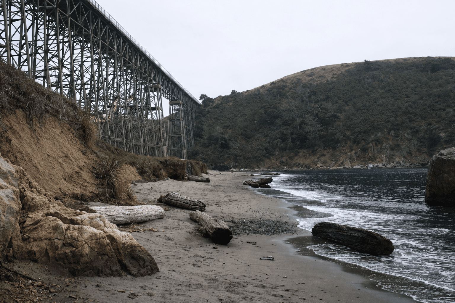 Scuba diving at Albion Cove in Mendocino County