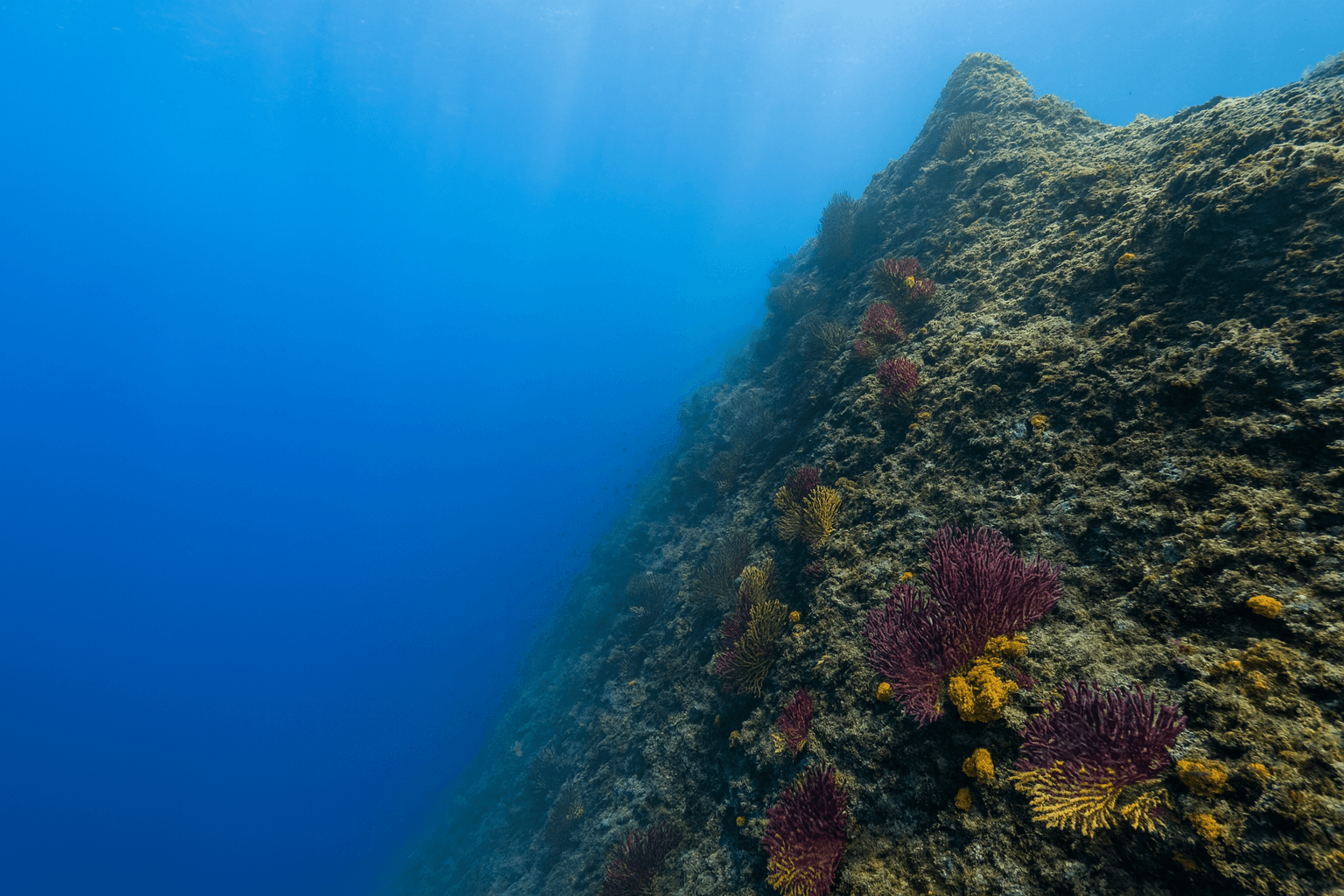Scuba diving at Arcanzil in Lisbon Coast