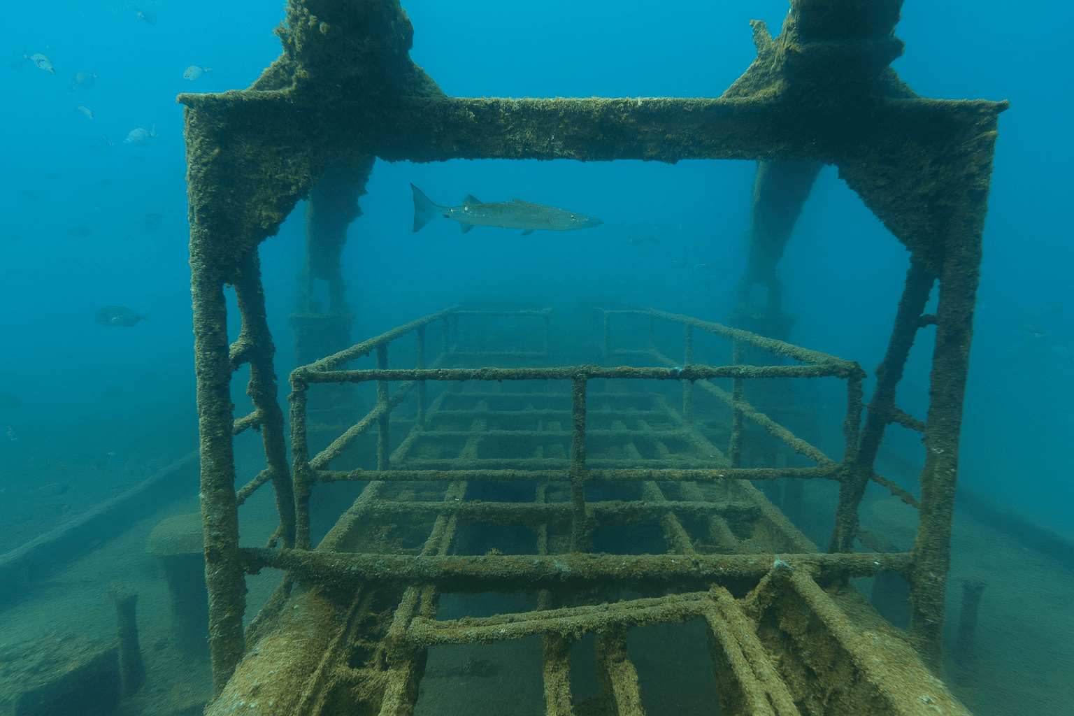 Scuba diving at Artemis Pita (Artemis Pitta) Wreck in Milos