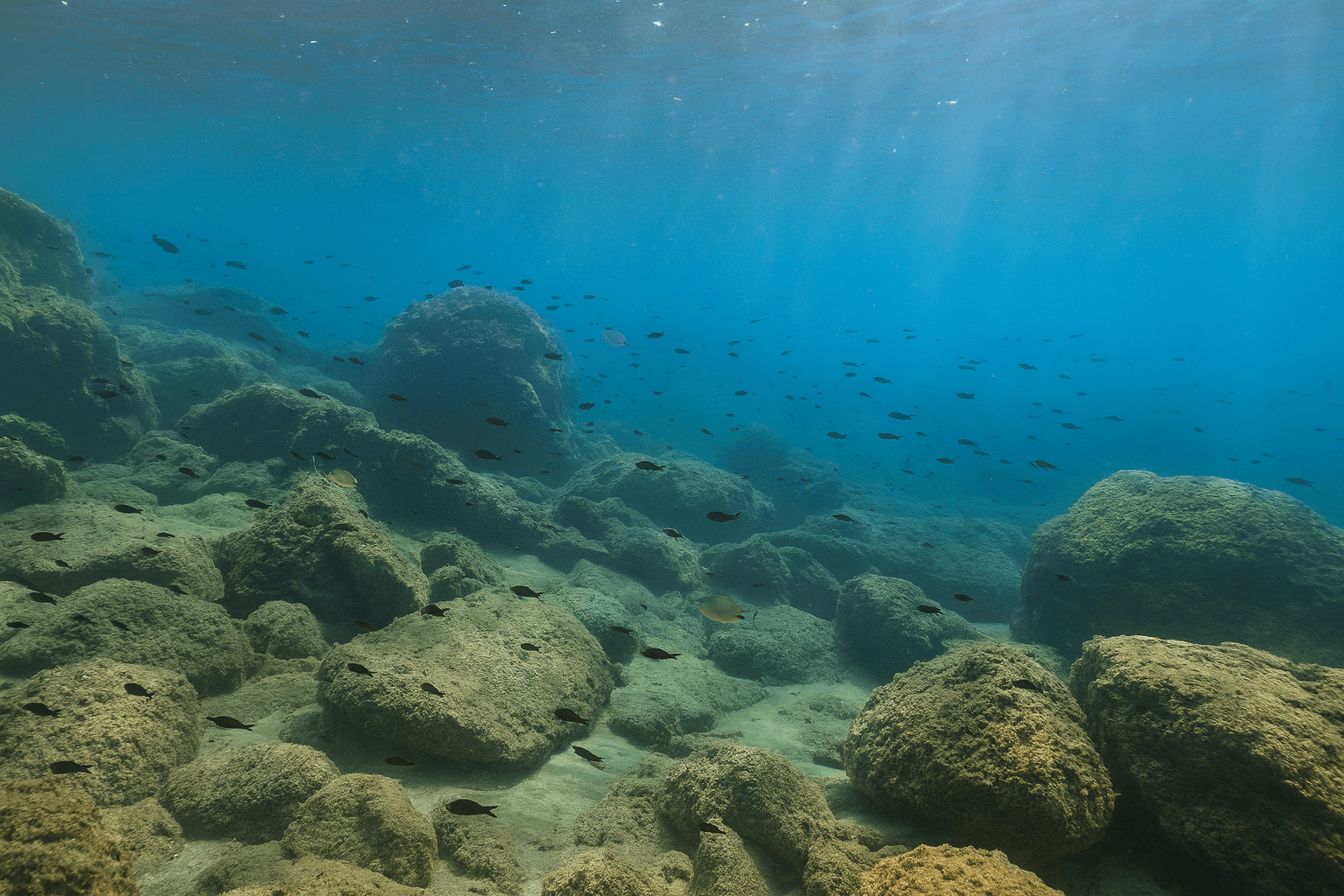 Scuba diving at Cape Vani (Akrotiri Vani) in Milos