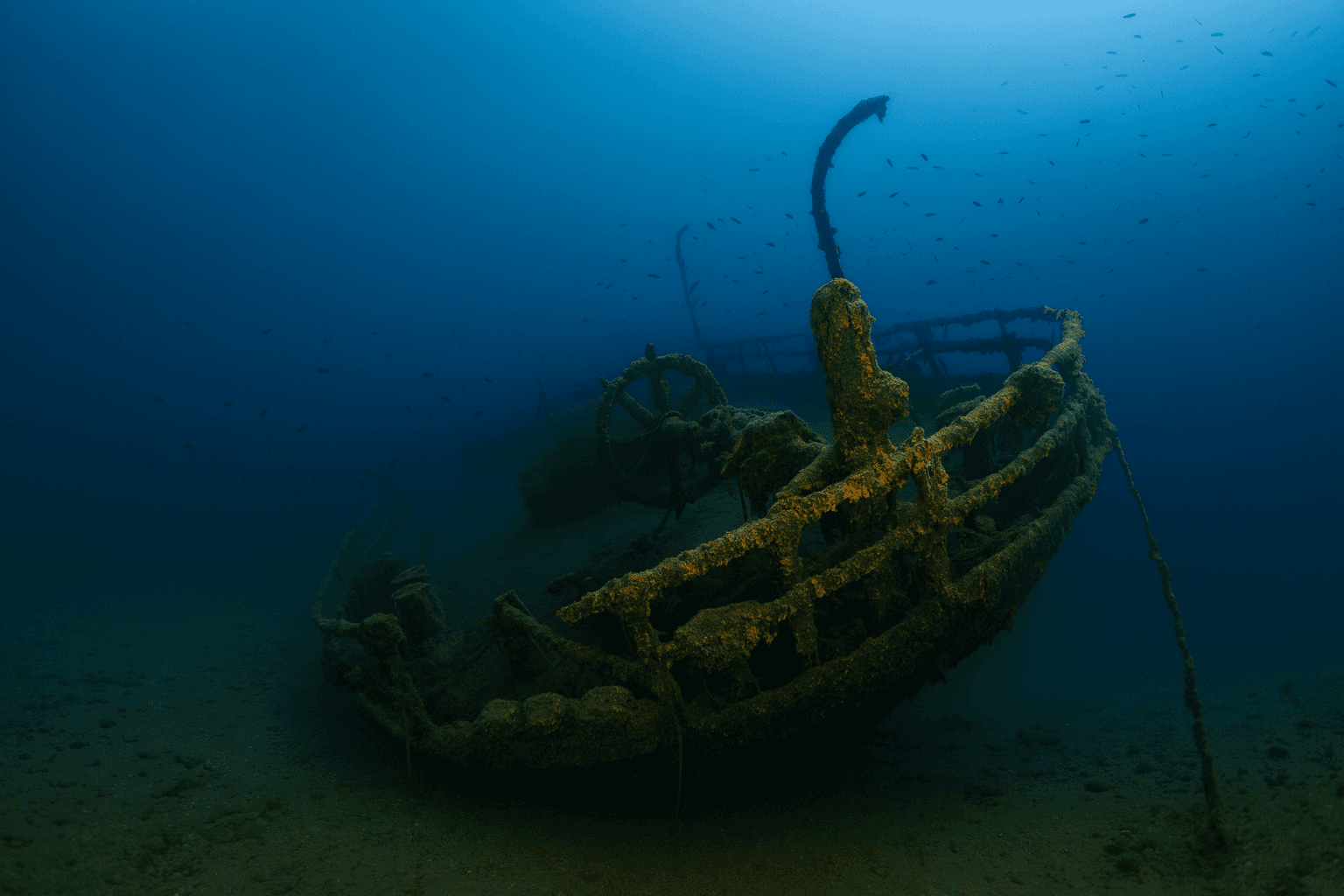 Scuba diving at Fortunal Wreck in Vis