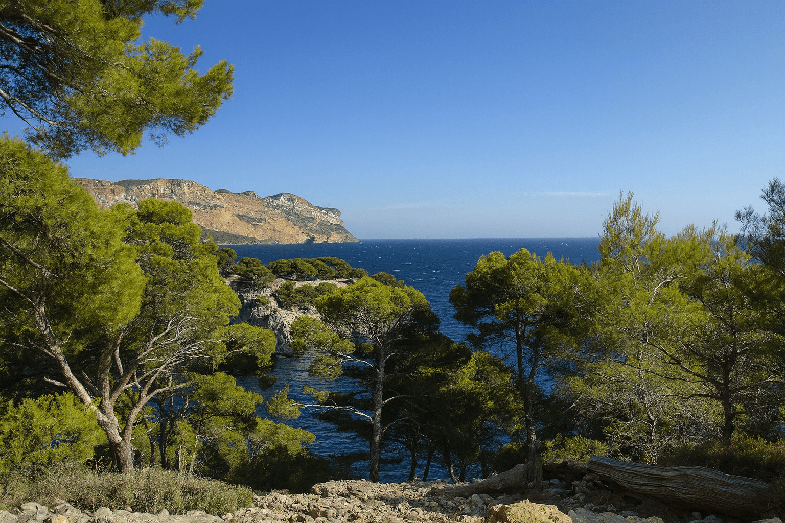 Scuba diving at La Grotte à Corail in Cassis