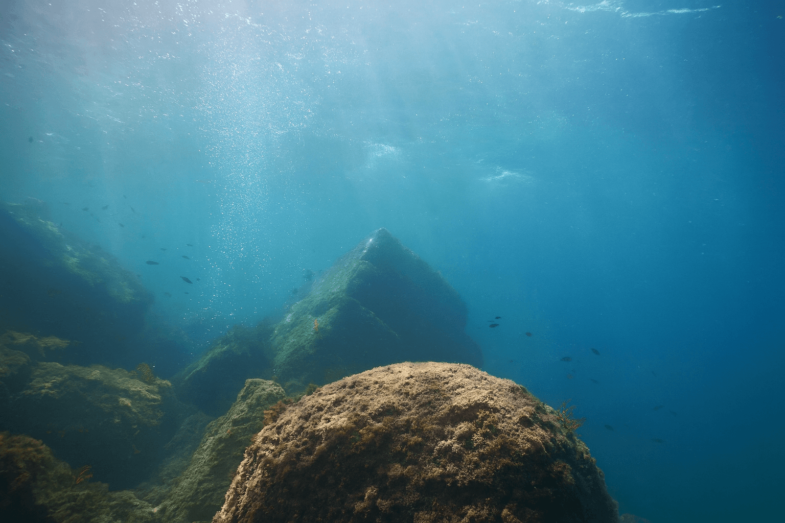 Scuba diving at Morro de Toix in Costa Blanca