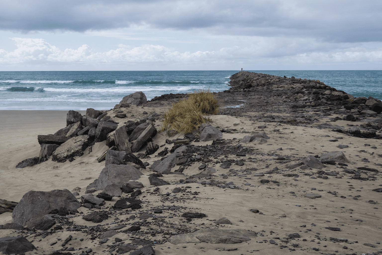 Scuba diving at Newport South Jetty in Newport