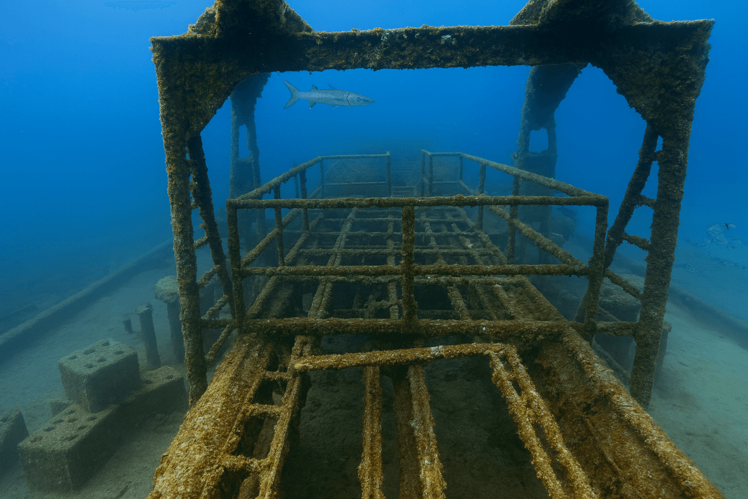 Scuba diving at Torvore Wreck in Algarve